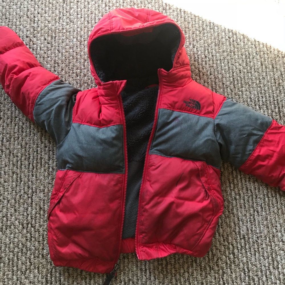 Toddler TNF red and gray winter jacket —puffer